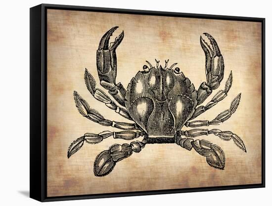 Vintage Crab-NaxArt-Framed Stretched Canvas