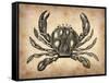 Vintage Crab-NaxArt-Framed Stretched Canvas