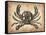 Vintage Crab-NaxArt-Framed Stretched Canvas