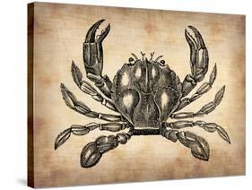 Vintage Crab-NaxArt-Stretched Canvas
