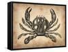 Vintage Crab-NaxArt-Framed Stretched Canvas