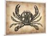 Vintage Crab-NaxArt-Mounted Art Print