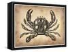 Vintage Crab-NaxArt-Framed Stretched Canvas