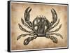 Vintage Crab-NaxArt-Framed Stretched Canvas