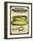 Vintage Cucumber Seed Packet-null-Framed Giclee Print