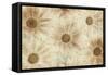 Vintage Daisies-Cora Niele-Framed Stretched Canvas