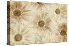 Vintage Daisies-Cora Niele-Stretched Canvas