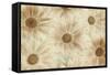 Vintage Daisies-Cora Niele-Framed Stretched Canvas