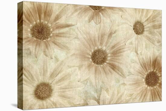 Vintage Daisies-Cora Niele-Stretched Canvas