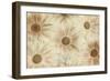 Vintage Daisies-Cora Niele-Framed Photographic Print