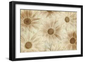 Vintage Daisies-Cora Niele-Framed Photographic Print