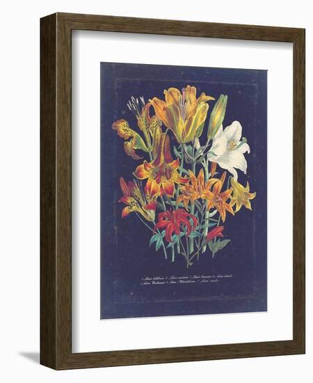 Vintage Dark Floral on Indigo I-null-Framed Art Print