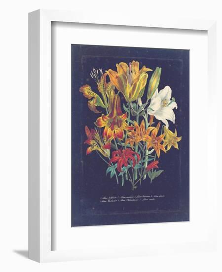 Vintage Dark Floral on Indigo I-null-Framed Art Print