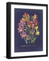 Vintage Dark Floral on Indigo II-null-Framed Art Print