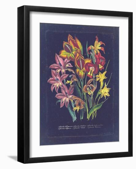 Vintage Dark Floral on Indigo II-null-Framed Art Print