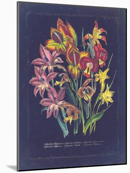 Vintage Dark Floral on Indigo II-null-Mounted Art Print