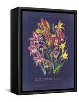 Vintage Dark Floral on Indigo II-null-Framed Stretched Canvas