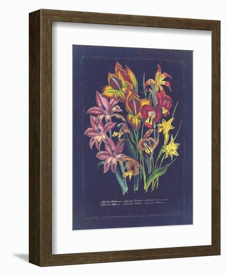 Vintage Dark Floral on Indigo II-null-Framed Art Print