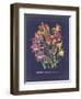 Vintage Dark Floral on Indigo II-null-Framed Art Print