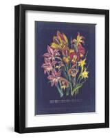 Vintage Dark Floral on Indigo II-null-Framed Art Print