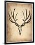 Vintage Deer Scull-NaxArt-Framed Art Print