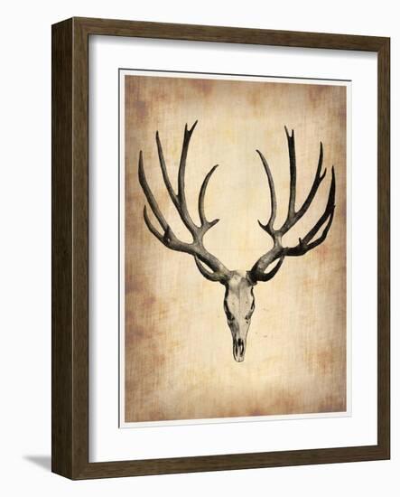 Vintage Deer Scull-NaxArt-Framed Art Print