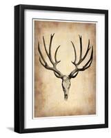 Vintage Deer Scull-NaxArt-Framed Art Print