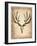 Vintage Deer Scull-NaxArt-Framed Art Print