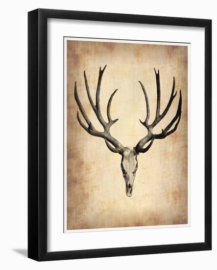 Vintage Deer Scull-NaxArt-Framed Art Print