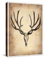 Vintage Deer Scull-NaxArt-Stretched Canvas