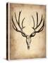 Vintage Deer Scull-NaxArt-Stretched Canvas