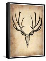 Vintage Deer Scull-NaxArt-Framed Stretched Canvas