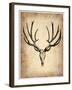 Vintage Deer Scull-NaxArt-Framed Art Print