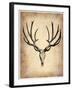 Vintage Deer Scull-NaxArt-Framed Art Print