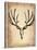 Vintage Deer Scull-NaxArt-Stretched Canvas