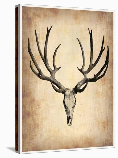 Vintage Deer Scull-NaxArt-Stretched Canvas