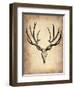 Vintage Deer Scull-NaxArt-Framed Art Print