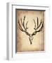 Vintage Deer Scull-NaxArt-Framed Art Print