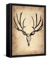 Vintage Deer Scull-NaxArt-Framed Stretched Canvas