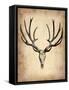 Vintage Deer Scull-NaxArt-Framed Stretched Canvas