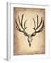 Vintage Deer Scull-NaxArt-Framed Art Print