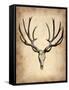 Vintage Deer Scull-NaxArt-Framed Stretched Canvas