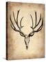 Vintage Deer Scull-NaxArt-Stretched Canvas