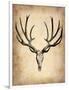 Vintage Deer Scull-NaxArt-Framed Art Print