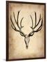 Vintage Deer Scull-NaxArt-Framed Art Print