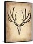 Vintage Deer Scull-NaxArt-Framed Stretched Canvas