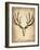 Vintage Deer Scull-NaxArt-Framed Art Print