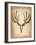 Vintage Deer Scull-NaxArt-Framed Art Print