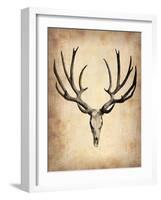 Vintage Deer Scull-NaxArt-Framed Art Print