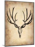Vintage Deer Scull-NaxArt-Mounted Art Print
